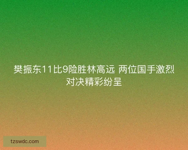 樊振东11比9险胜林高远 两位国手激烈对决精彩纷呈