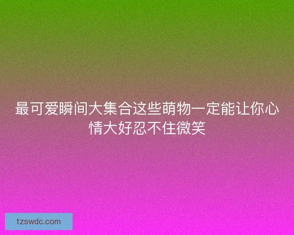 最可爱瞬间大集合这些萌物一定能让你心情大好忍不住微笑