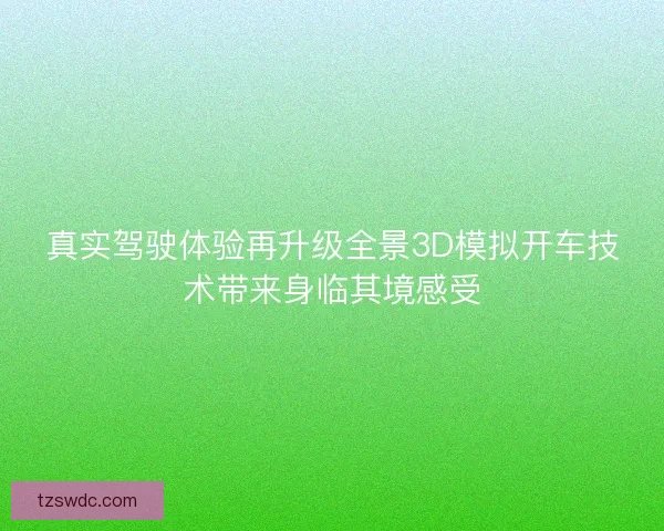 真实驾驶体验再升级全景3D模拟开车技术带来身临其境感受