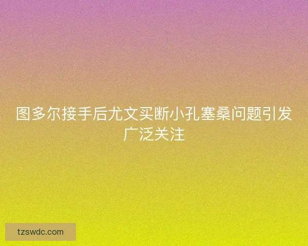 图多尔接手后尤文买断小孔塞桑问题引发广泛关注