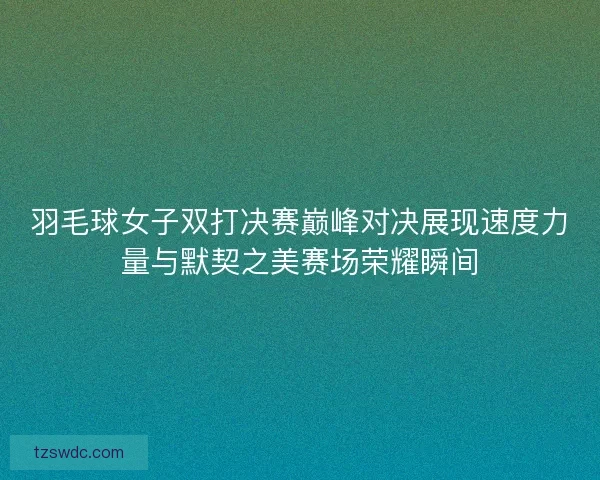 羽毛球女子双打决赛巅峰对决展现速度力量与默契之美赛场荣耀瞬间